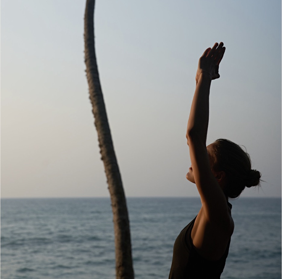 Body Refinement